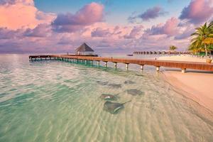 fantastique plage au coucher du soleil, bas-fonds avec raies pastenagues et requins dans les îles maldives. hôtel de villégiature de luxe, jetée en bois, villa sur pilotis, bungalow. incroyable voyage, vacances paysage faune photo