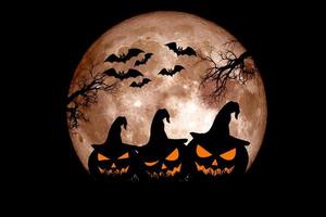 idée de festival d'halloween. fantôme d'un arbre mort avec la lune en arrière-plan.