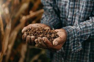 vieil agriculteur tenant le sol dans les mains en coupe dans la ferme photo