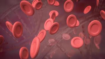 la cellule sanguine pour la science ou le concept d'éducation rendu 3d photo
