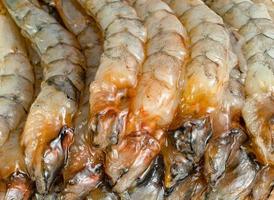 Close up crevettes décortiquées raw isolé sur fond blanc photo