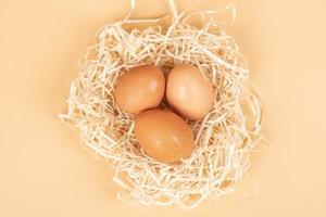 oeufs de poule dans le nid bannière isolée vue de dessus photo