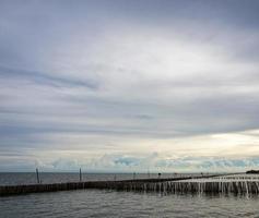 bambou séché ensemble dans la mer. prévenir l'érosion côtière due à l'eau de mer. photo