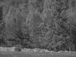 eidfjord et le hardangerfjord en norvège photo