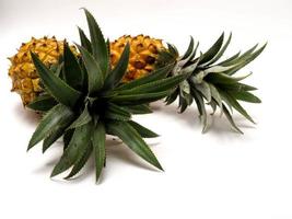 photo d'ananas ananas comosus, un fruit qui pousse généralement dans les zones tropicales. ce fruit contient de nombreuses vitamines qui sont bonnes pour notre corps