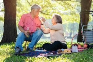 heureux vieux couples de personnes âgées se détendant et s'asseyant sur une couverture dans le parc et partageant quelques souvenirs précieux. couple de personnes âgées s'amusant ensemble lors d'un pique-nique. concept de relations matures photo