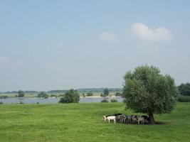 la ville de xanten et le rhin photo