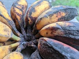 gros plan d'une banane qui commence à pourrir ou à noircir photo