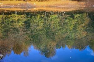 lac nazli dans le parc national de yedigoller, turquie photo