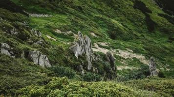 beau paysage de montagne des carpates, des montagnes verdoyantes et des falaises de shpytsi photo