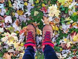 jambes en bottes de sport sur les feuilles colorées d'automne et l'herbe verte photo