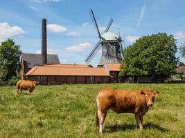 ancien moulin à vent dans le muensterland allemand photo