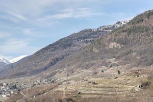 vignobles entourant sondrio, une ville italienne photo