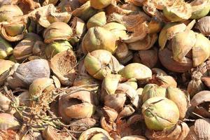 tas de cosses de noix de coco jetées en thaïlande photo