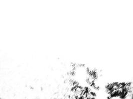 croquis de ligne couleur noire sur fond blanc photo