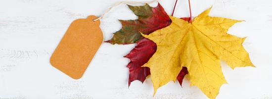 concept de vente et de remise d'automne. étiquette vierge et feuilles tombées sur un fond en bois blanc. action de grâces et récolte. photo
