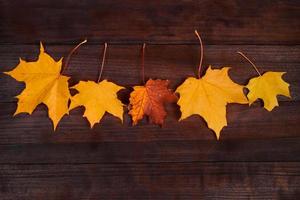 feuilles d'érable d'automne jaunes sur un fond en bois marron. feuillage tombé. toile de fond pour la conception. photo