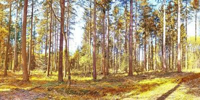 belle vue panoramique sur un paysage d'automne doré trouvé en europe photo