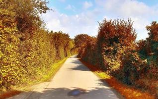 belle vue panoramique sur un paysage d'automne doré trouvé en europe photo