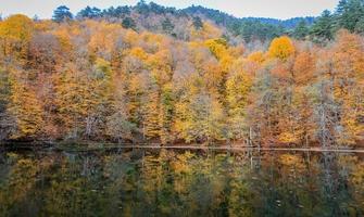 lac buyuk dans le parc national de yedigoller, turquie photo