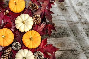 citrouilles, feuilles séchées et pin avec composition d'automne sur fond de bois. automne, automne, concept d'halloween. mise à plat, vue de dessus, espace de copie photo