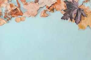 compositions d'automne. feuilles d'automne sur fond pastel bleu vif. mise à plat, espace de copie vue de dessus. photo