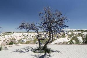 arbre de perles mauvais œil à uchisar, cappadoce photo
