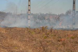 un feu de broussailles près de la réserve indienne karriri-xoco et tuxa dans la partie nord-ouest de brasilia, brésil photo