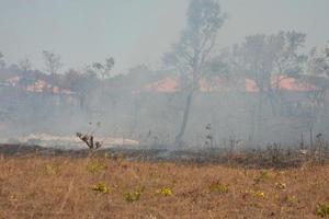 un feu de broussailles près de la réserve indienne karriri-xoco et tuxa dans la partie nord-ouest de brasilia, brésil photo