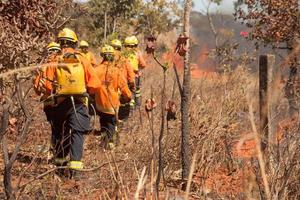 brasilia, brésil, 26 juillet 2022 pompiers travaillant à éteindre un incendie près de la réserve indienne karriri-xoco et tuxa dans la partie nord-ouest de brasilia photo