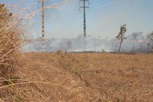 un feu de broussailles près de la réserve indienne karriri-xoco et tuxa dans la partie nord-ouest de brasilia, brésil photo