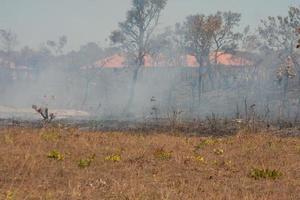 un feu de broussailles près de la réserve indienne karriri-xoco et tuxa dans la partie nord-ouest de brasilia, brésil photo