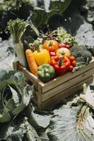 agricultrice travaillant tôt à la ferme tenant un panier en bois de légumes frais et une tablette photo