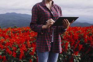 technologie agricole agricultrice tenant une tablette ou une technologie de tablette pour rechercher des données d'analyse de problèmes agricoles et une icône visuelle. photo