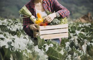 agricultrice travaillant tôt à la ferme tenant un panier en bois de légumes frais et une tablette photo
