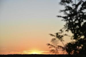 coucher de soleil bleu-orange du soir et un bel horizon avec des nuages et des plantes. photo