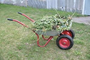 Chariot de jardin en fer avec de l'herbe dans le jardin photo