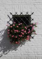 mur de briques blanches avec des fleurs suspendues à une fenêtre fermée photo