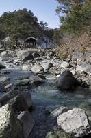 une rivière d'eau chaude traverse la forêt près de kusatsu onsen, japon photo
