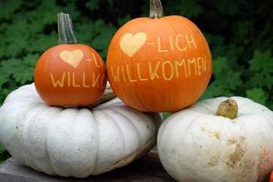 citrouilles dans le muensterland allemand photo