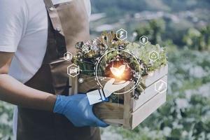 un homme d'affaires futuriste cultive des légumes et des cultures à l'aide de la technologie ai moderne utilisant des téléphones portables, des capteurs de température et d'humidité, le suivi de l'eau, le contrôle du climat, des icônes de données de données holographiques. photo