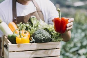 agricultrice travaillant tôt à la ferme tenant un panier en bois de légumes frais et une tablette photo