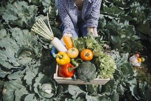 agricultrice travaillant tôt à la ferme tenant un panier en bois de légumes frais et une tablette photo