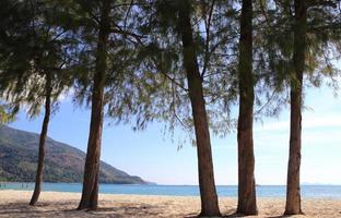 belle vue sur la mer et le ciel de thaïlande depuis la forêt de pins photo