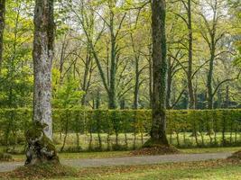 arbres verts dans le parc du palais de herrenchiemsee photo