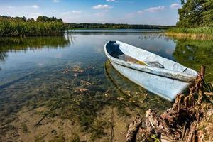 vieux bateau en bois dans les buissons de roseaux sur la rive d'une large rivière ou d'un lac