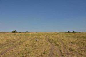 plusieurs sentiers de gibier à travers les plaines du dakota du nord photo