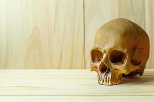 crâne humain sur bois pour le contenu corporel humain ou halloween.
