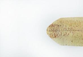 image de gros plan de fruits de mer roulés de seiche. photo