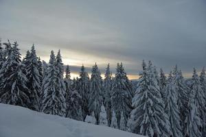 paysage de montagne d'hiver photo